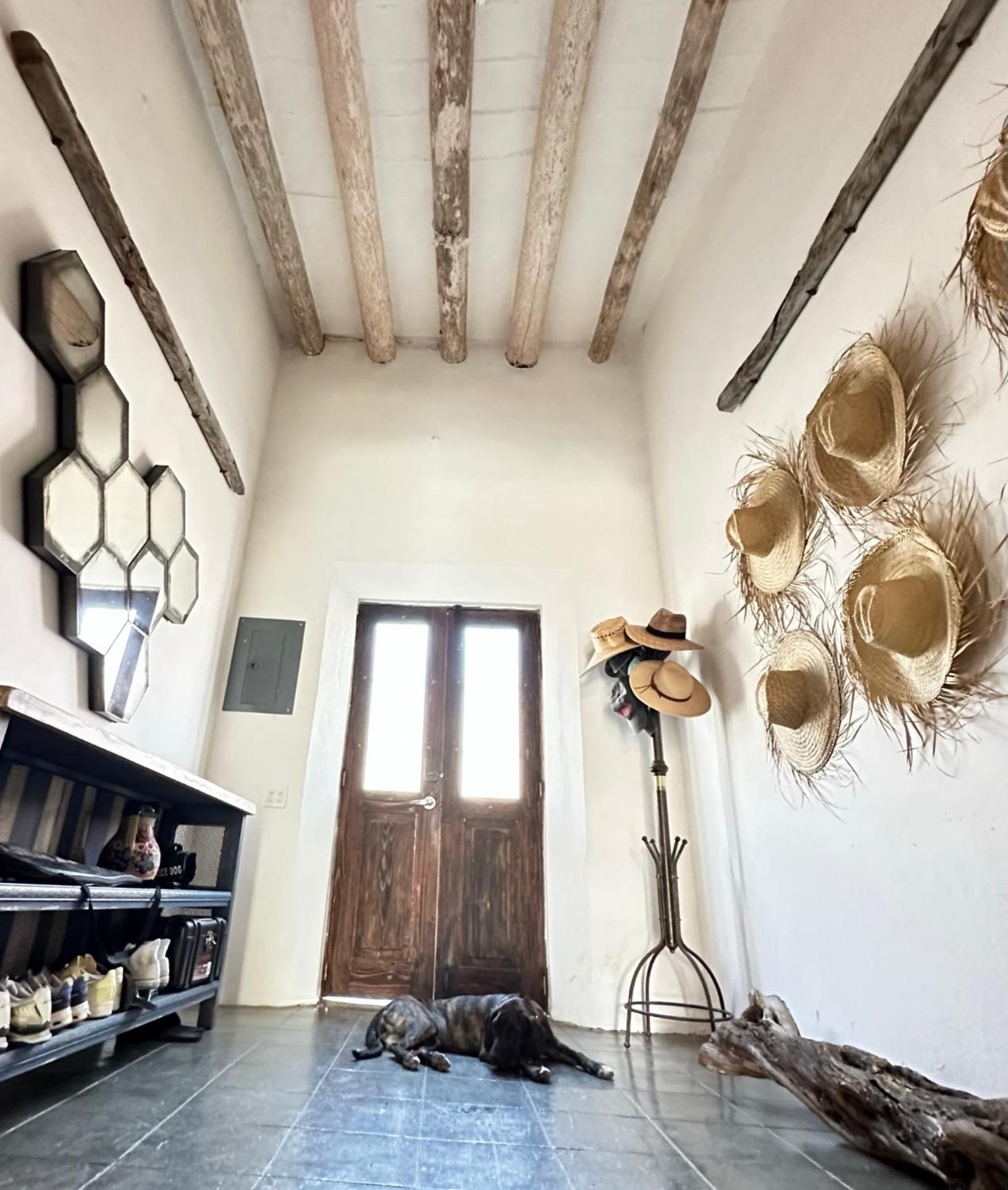 ホテル Baja House トドス・サントス エクステリア 写真