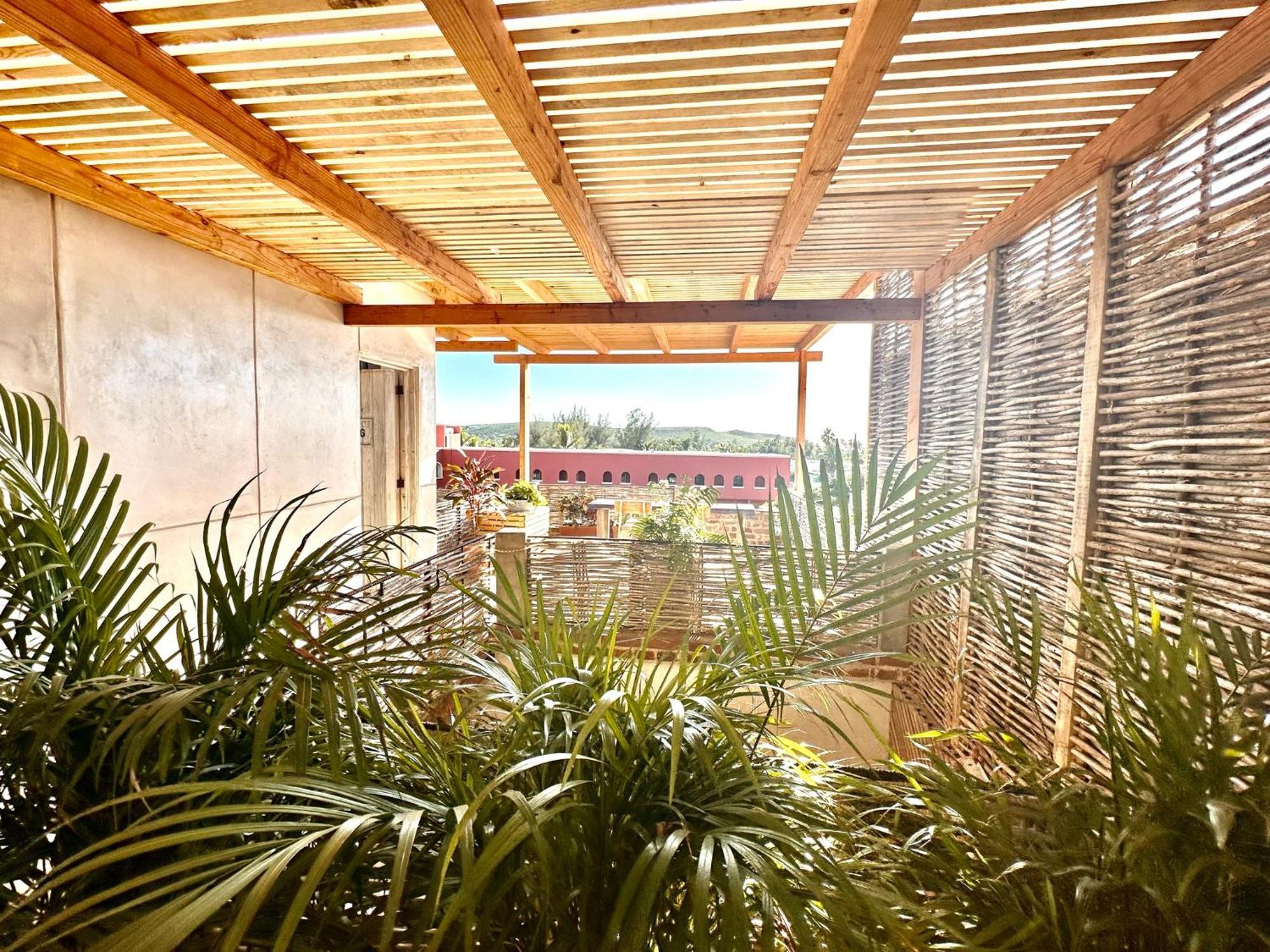 ホテル Baja House トドス・サントス エクステリア 写真