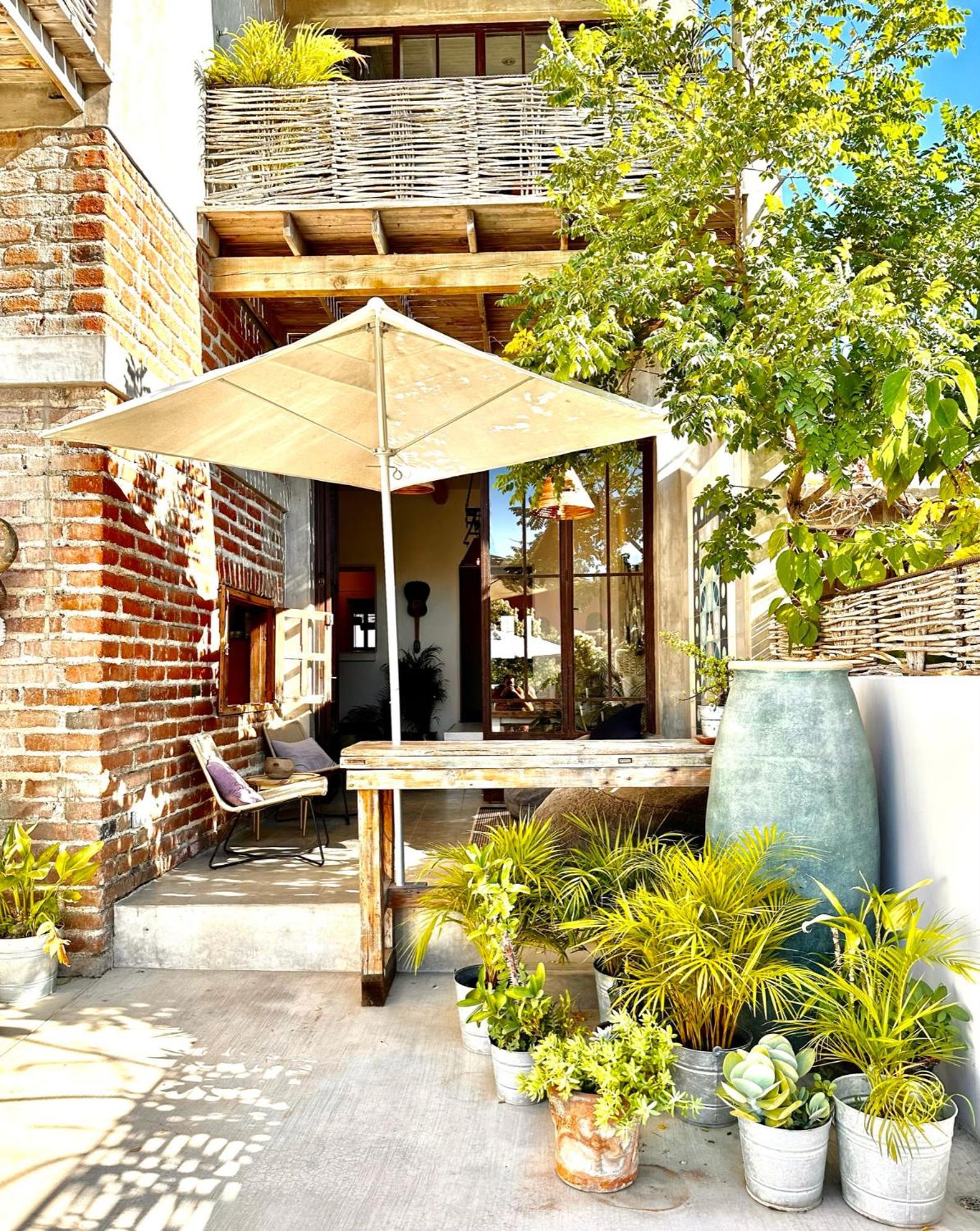 ホテル Baja House トドス・サントス エクステリア 写真